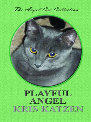 cover image of Playful Angel